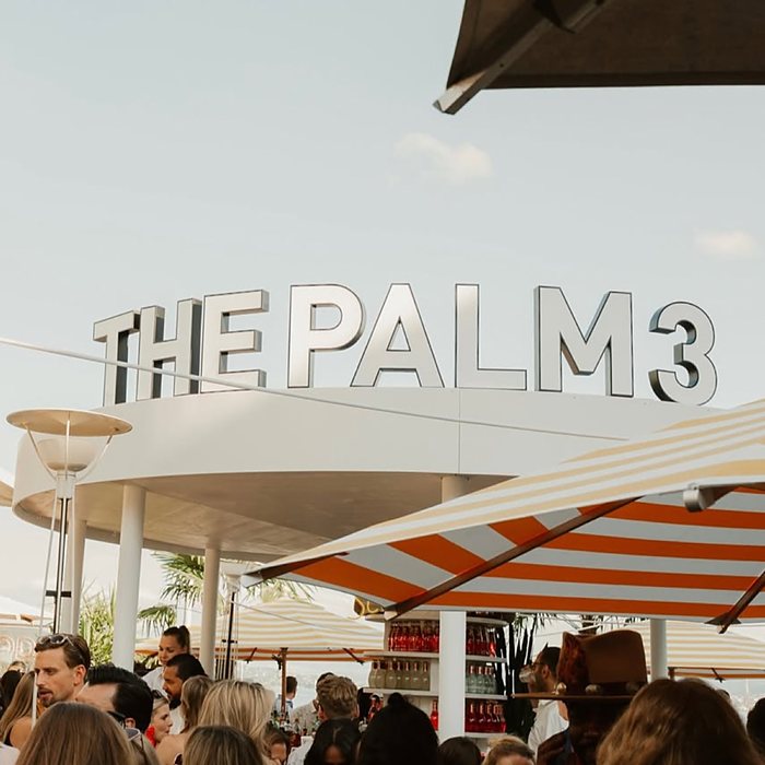 The Palm 3