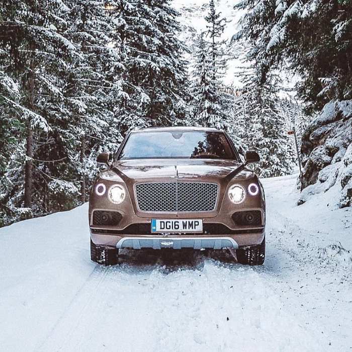 Oleg Cricket x Bentley