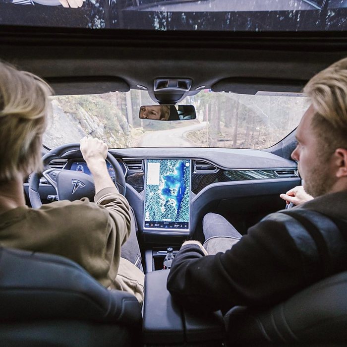 Oleg Cricket x Tesla
